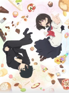 دانلود انیمه Shoushimin Series